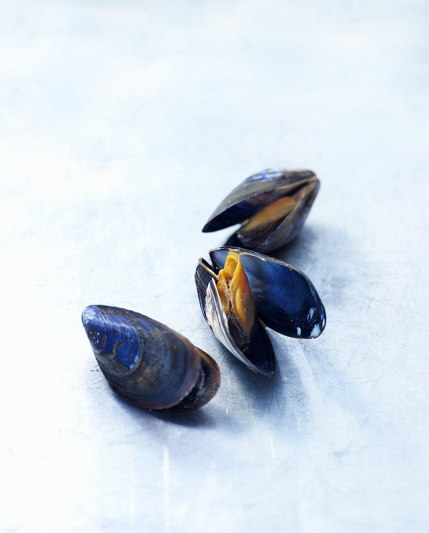 Three opened mussels