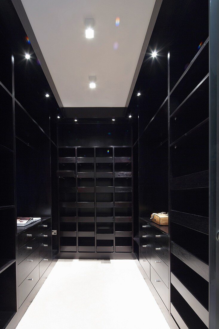 Elegant dressing room with black, glossy closets and shelves