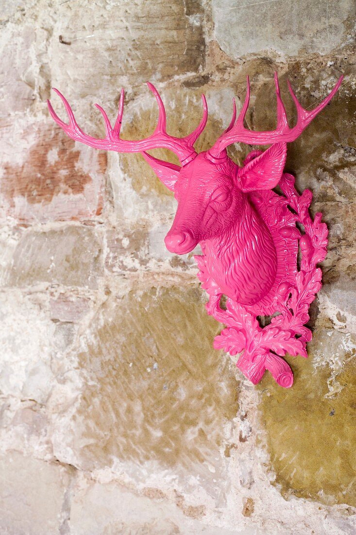 Pinkfarbener Hirsch an Steinmauer