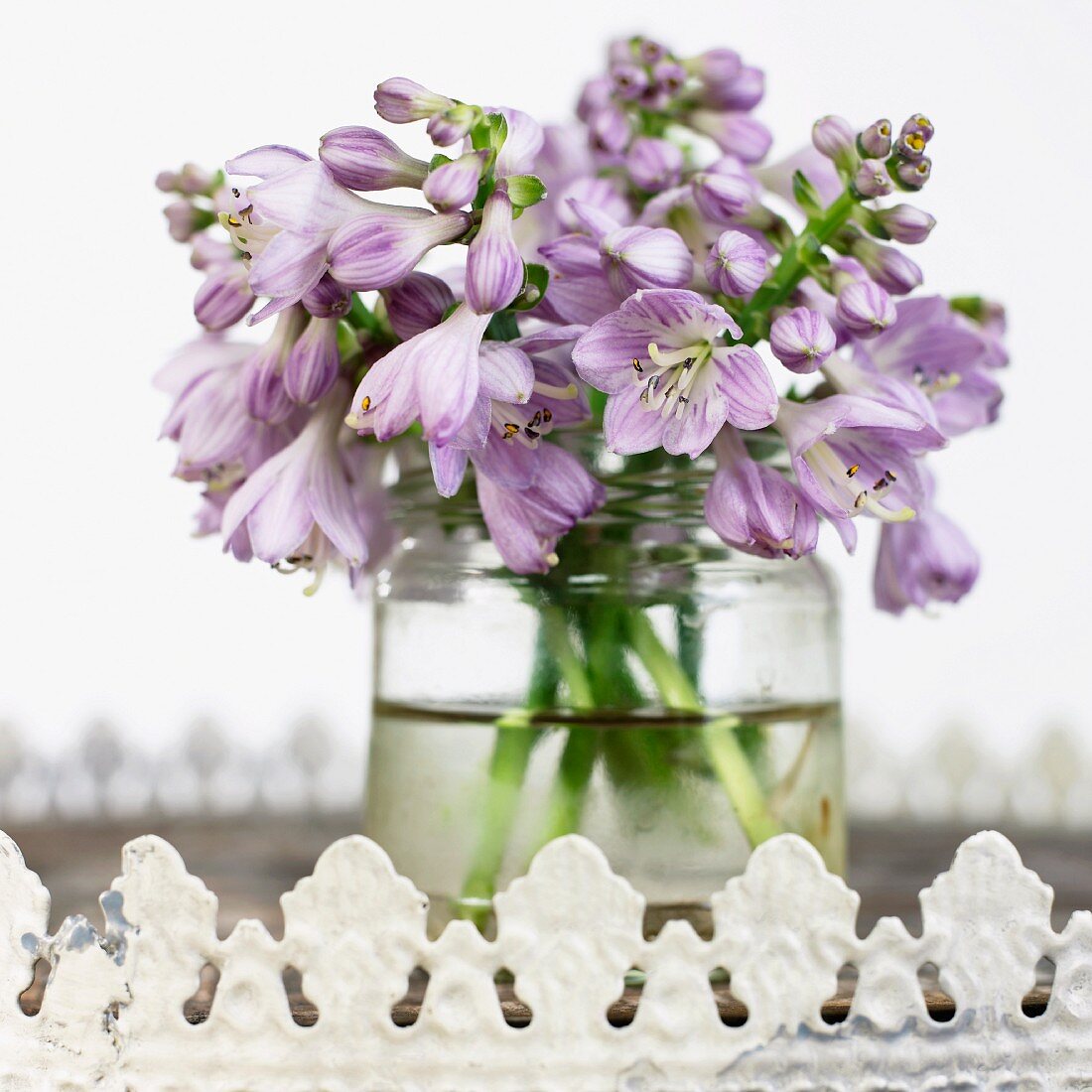 A bouquet with lilac hosta flowers