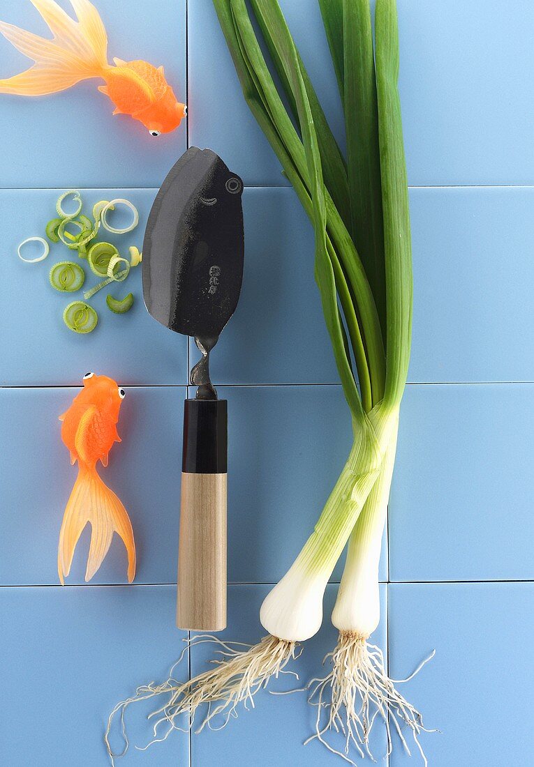 Spring onions and a knife