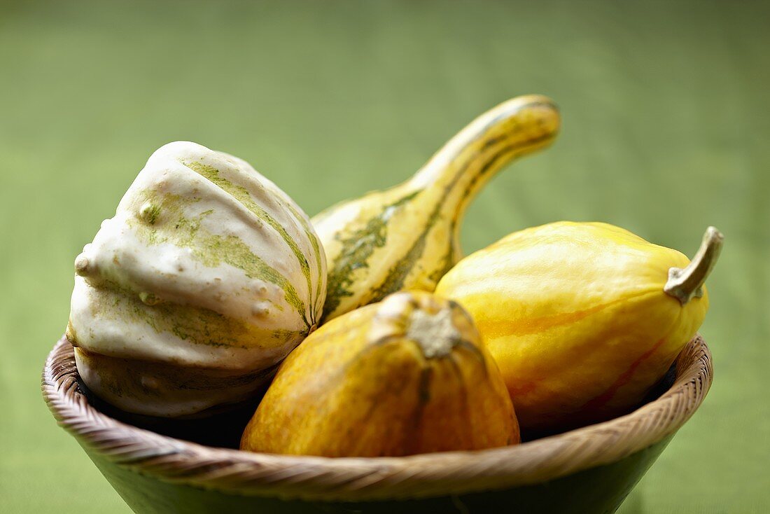 Assorted Autumn Squash in a Basket