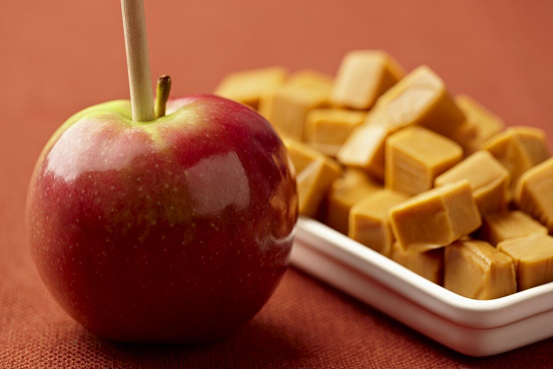 Apple on a Stick Ready to Be Coated in Caramel; Caramel Candies