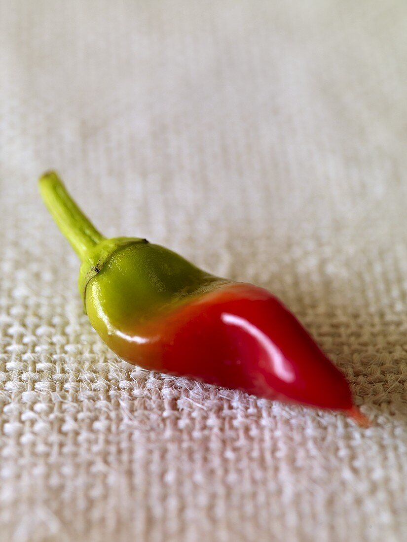Eine rot-grüne Chilischote