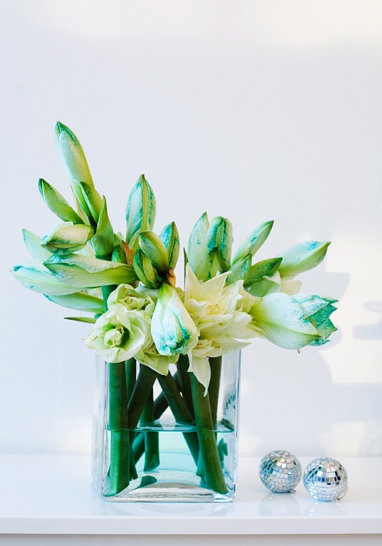 Amaryllis and Christmas tree baubles