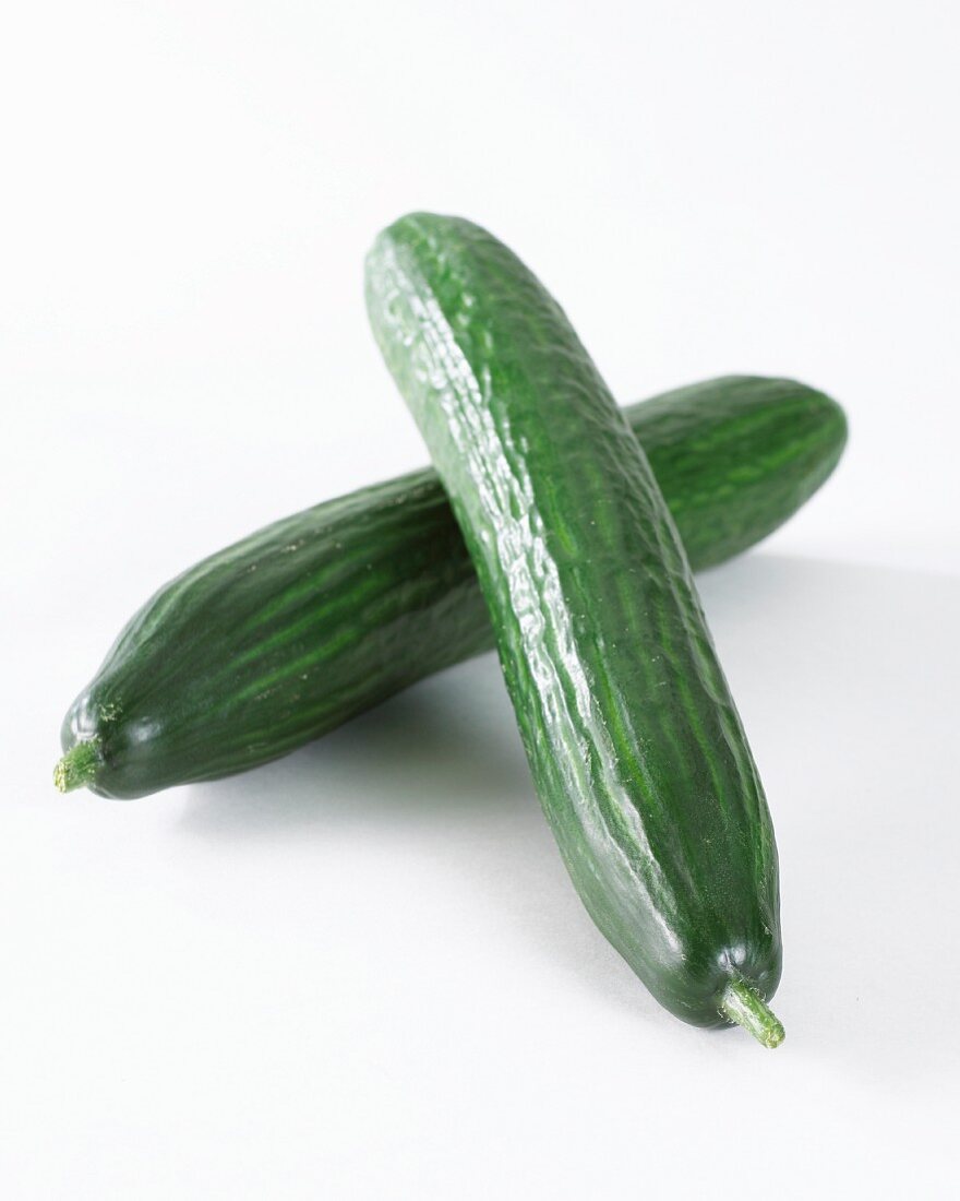 Zwei Salatgurken (Cucumis Sativus) vor weißem Hintergrund