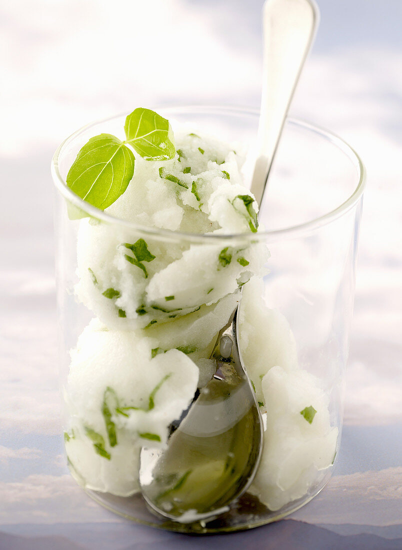 Vanilla sorbet with basil