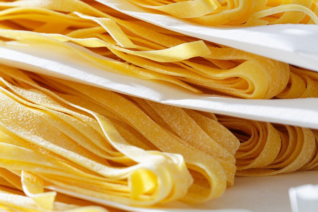 Fresh egg pasta