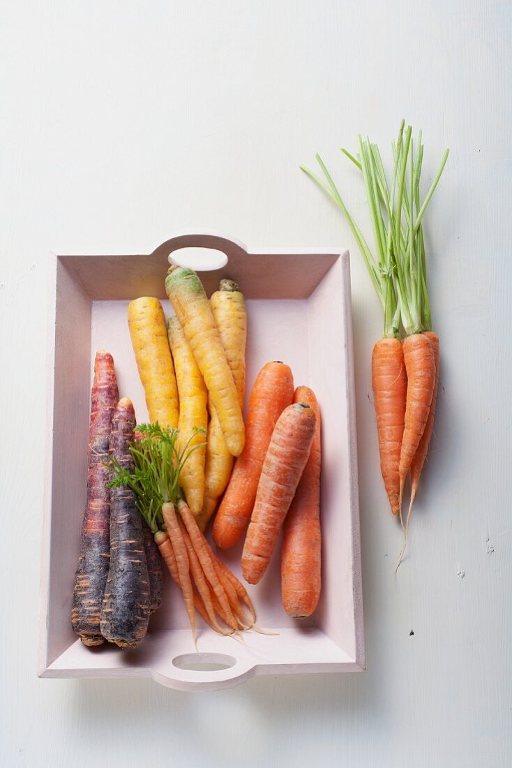 Various types of carrots