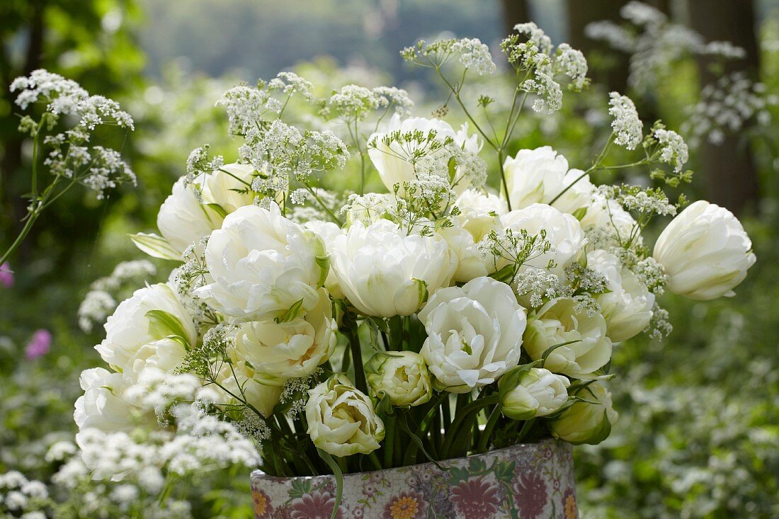 A bunch of white tulips (tulipa Maureen Double) in a vase in a garden