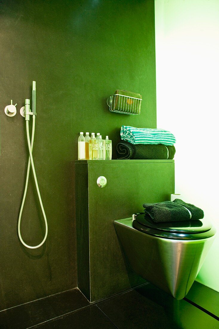 A stainless steel toilet against a green wall with bathing utensils next to a hand-held shower