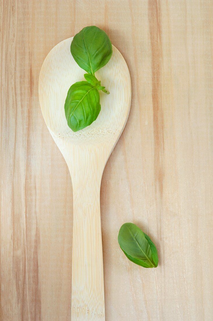 Basil leaves on a wooden spoon