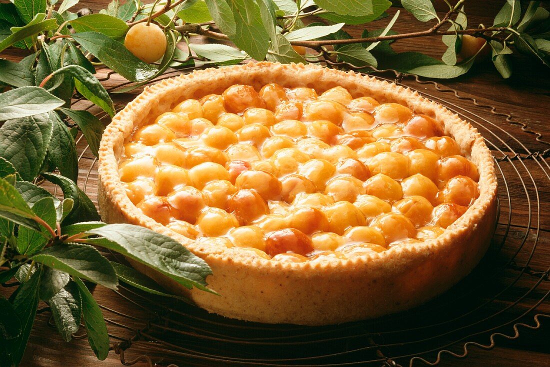 Mirabelle tart