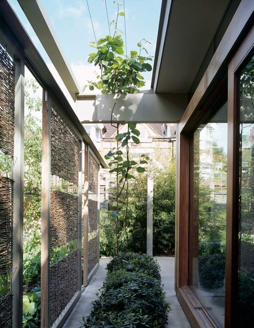 Planting area between wicker sun screens and wide sliding doors in an English house