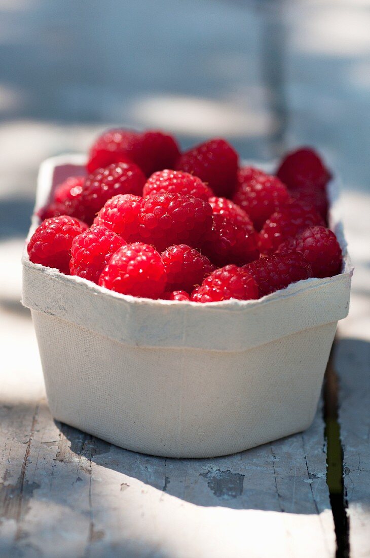 Blueberries in cardboard punnet