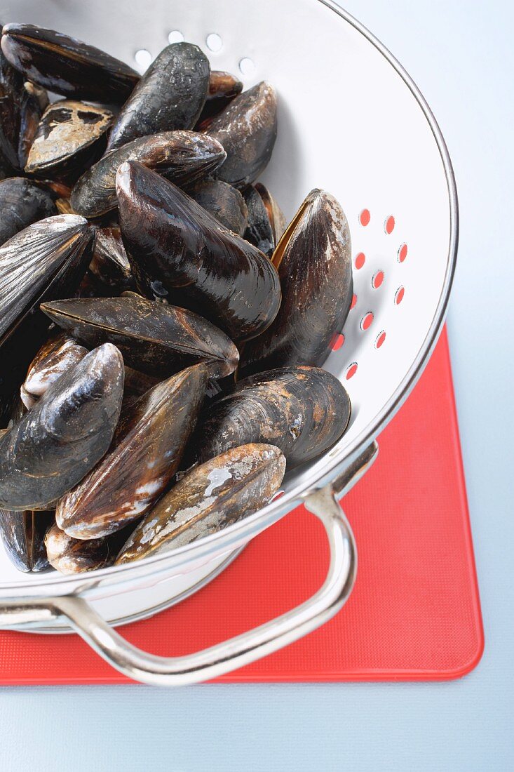 Fresh mussels in a colander