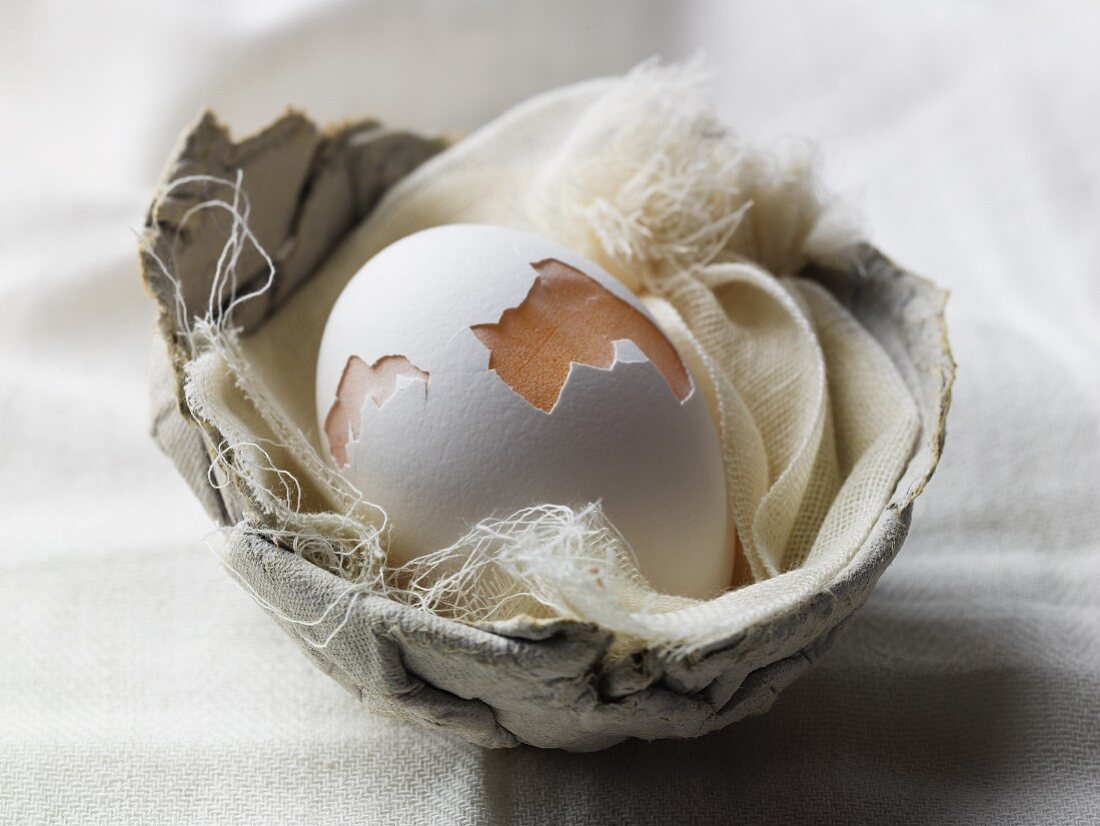 Angebrochenes Ei im Nest