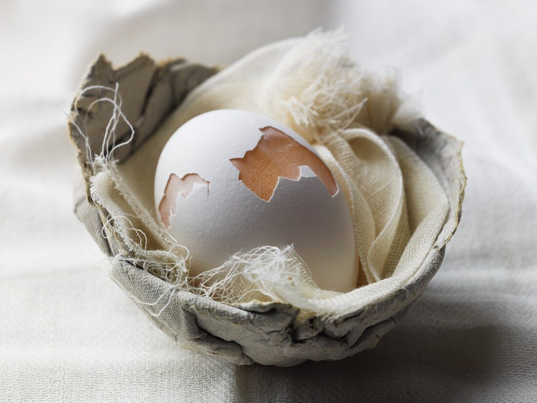 Cracked Egg Shell in a Nest