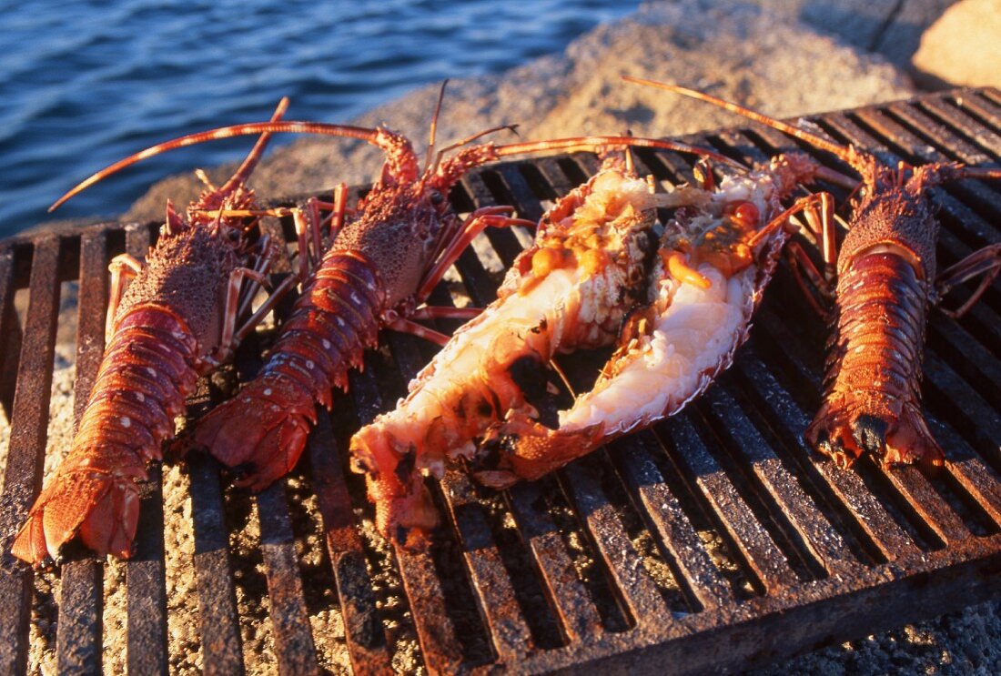 Grilled lobster on a barbecue by the sea