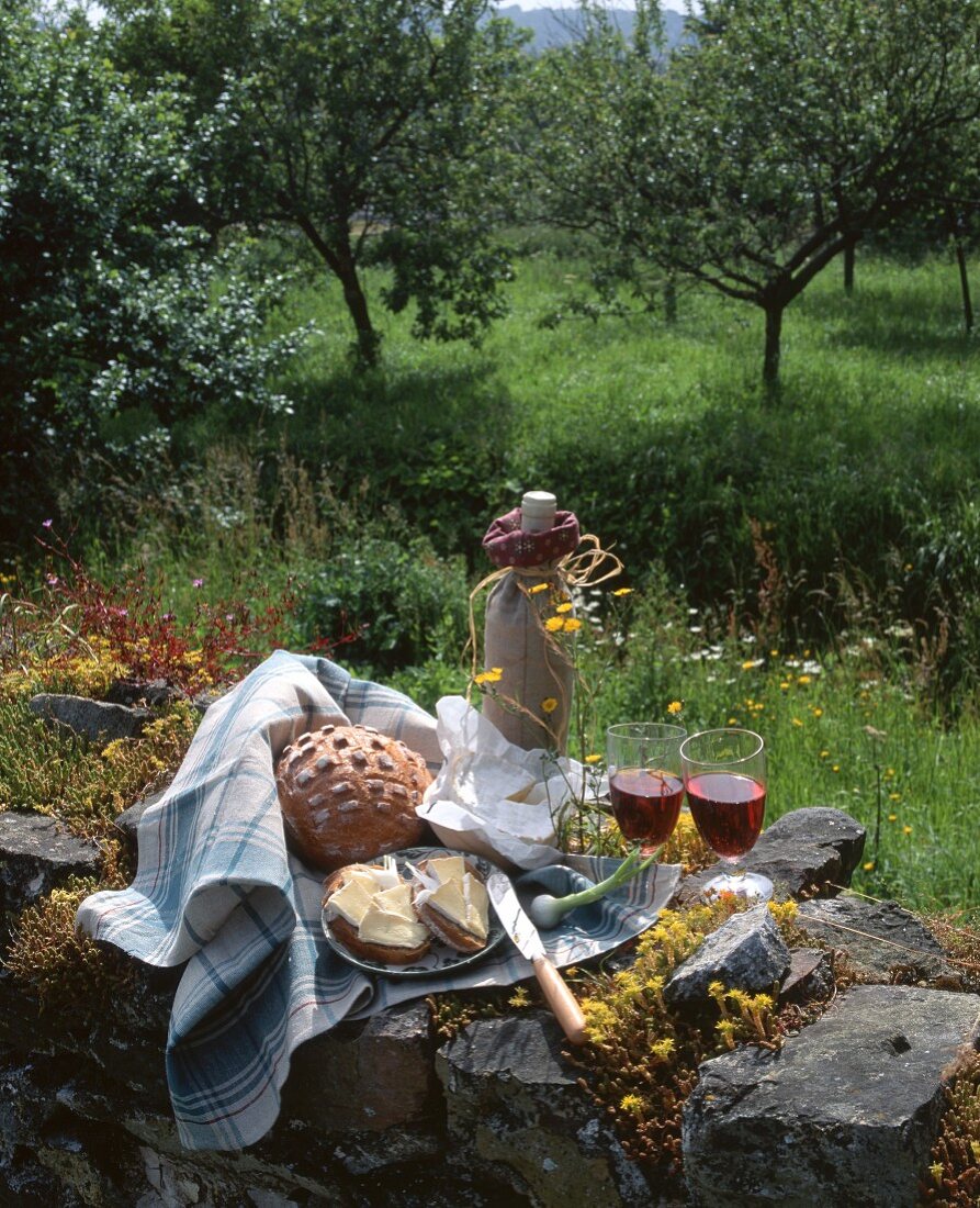 A picnic with bread, cheese and wine on a wall in Normandy