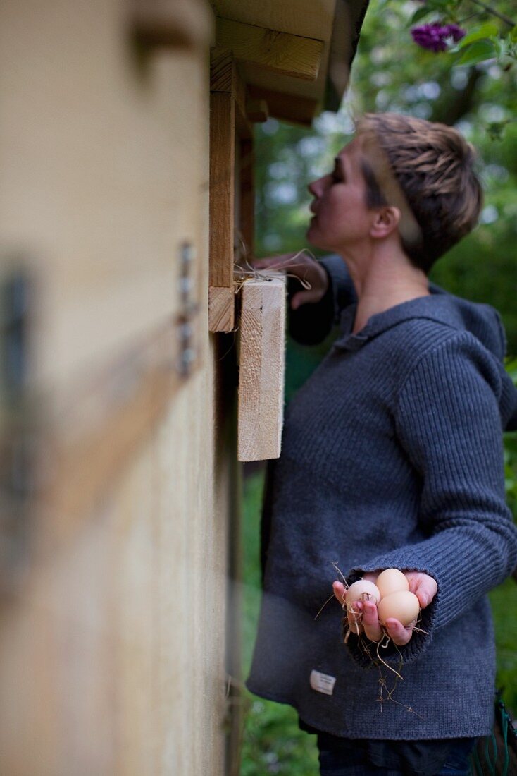 A woman collecting eggs from a chicken coop