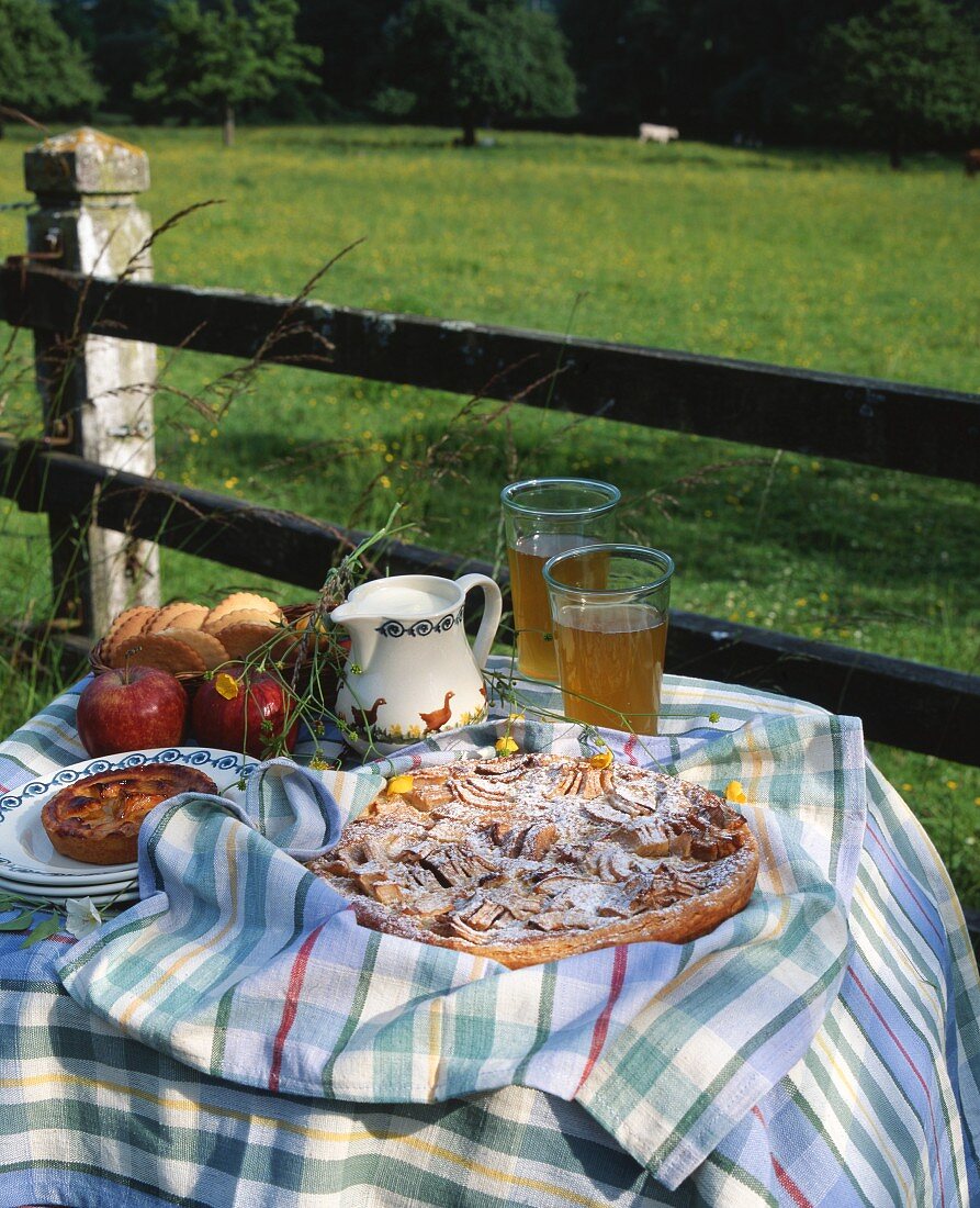 Apple tart on a table in the open air (Normandy, France)