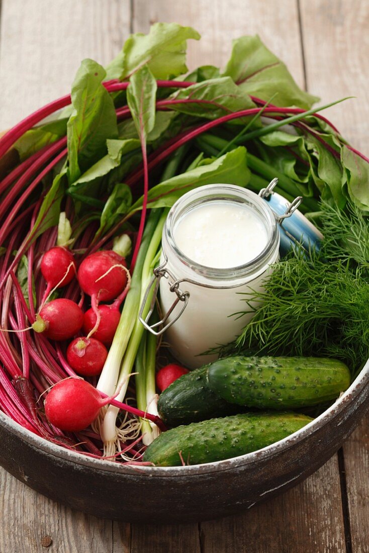 Ingredients for cold beetroot soup (beetroot, gherkins, radishes, dill, kefir)