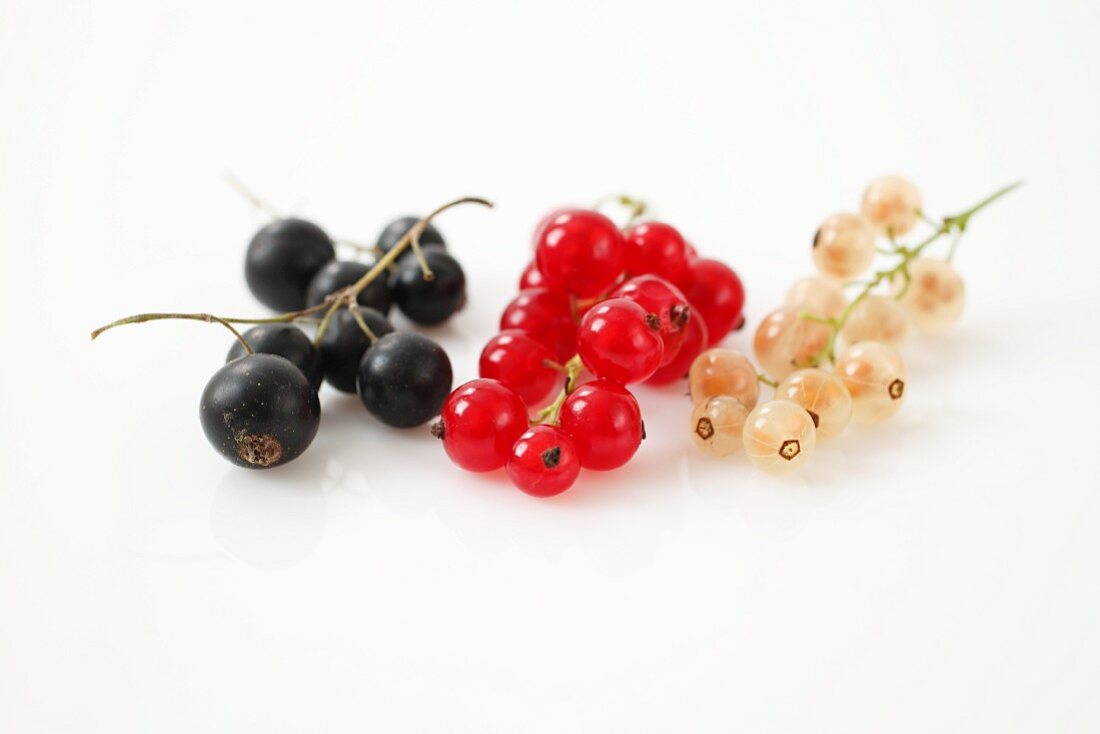 Blackcurrants, redcurrants and whitecurrants