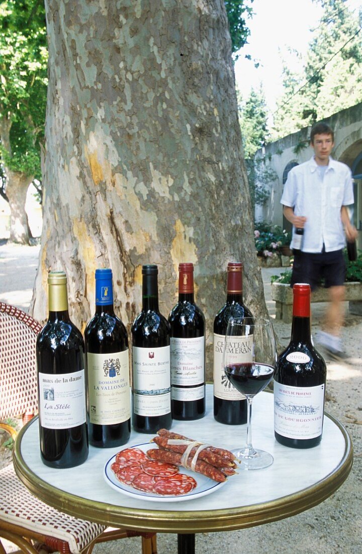 Salami und verschiedene Rotweinflaschen auf Tisch unter einem Baum