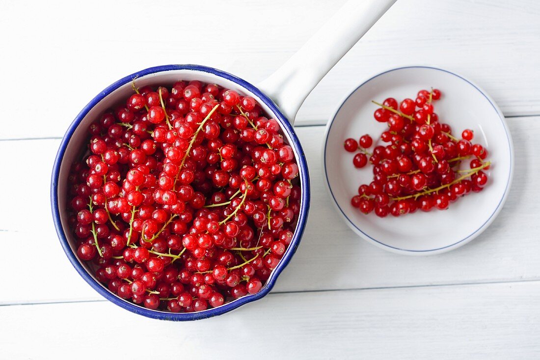 Rote Johannisbeeren im Topf und auf Teller