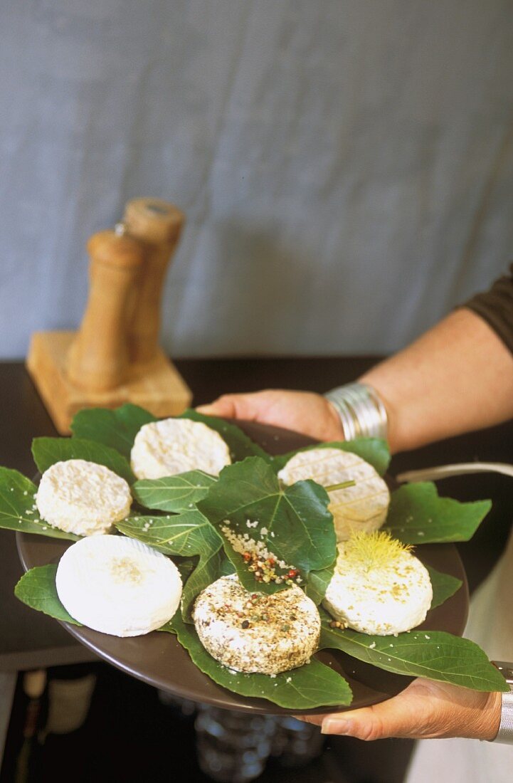A person serving a plate of goat's cheese