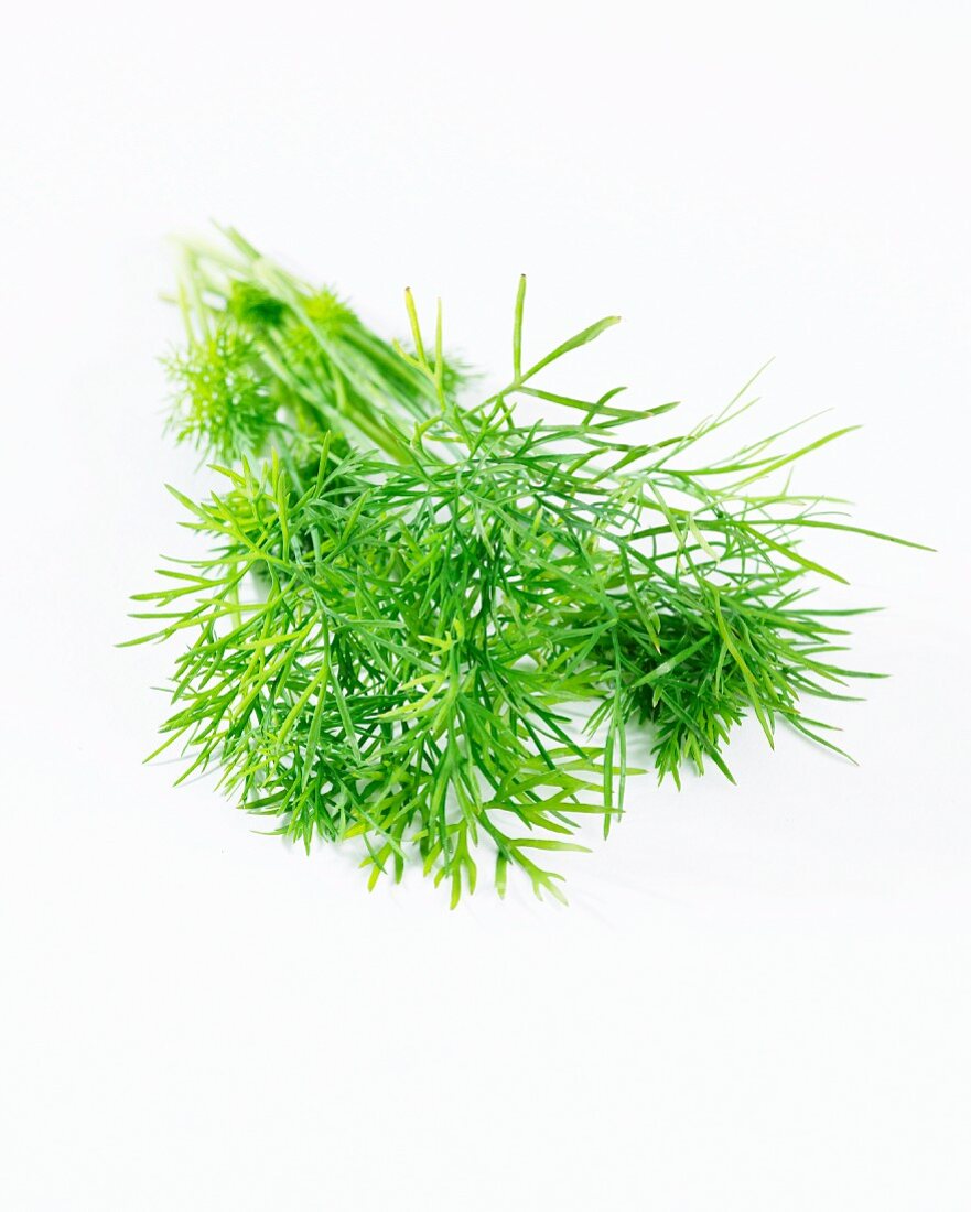 Fresh dill