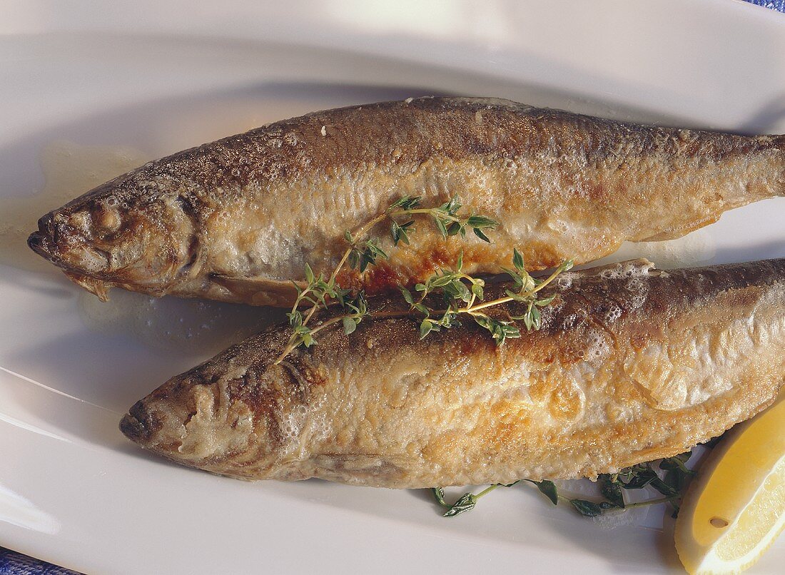 Two roasted herrings with thyme on a white plate