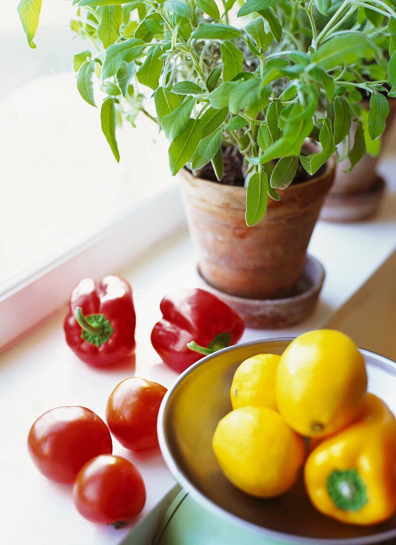 Gemüse, Zitronen und Kräuter am Küchenfenster