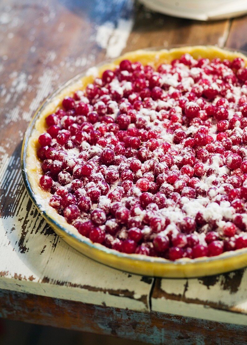 Redcurrant tart with icing sugar