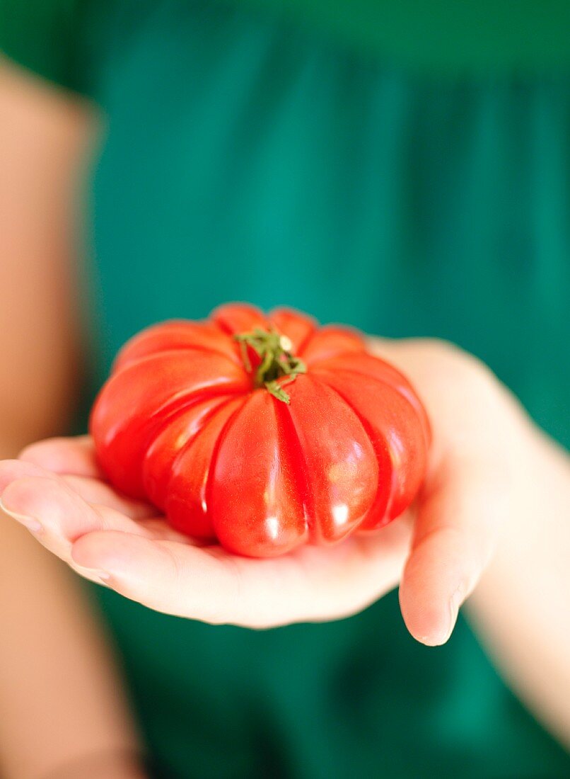 A hand holding a tomato
