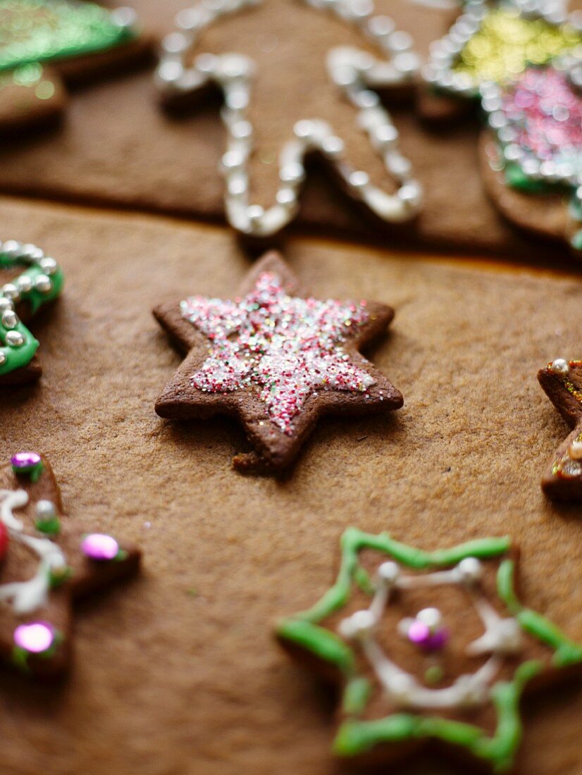 Verschiedene Lebkuchenplätzchen zu Weihnachten