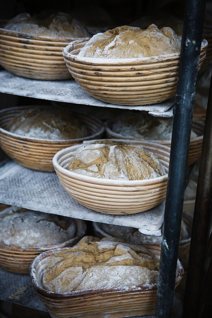 Freshly baked bread on shelves in a bakery