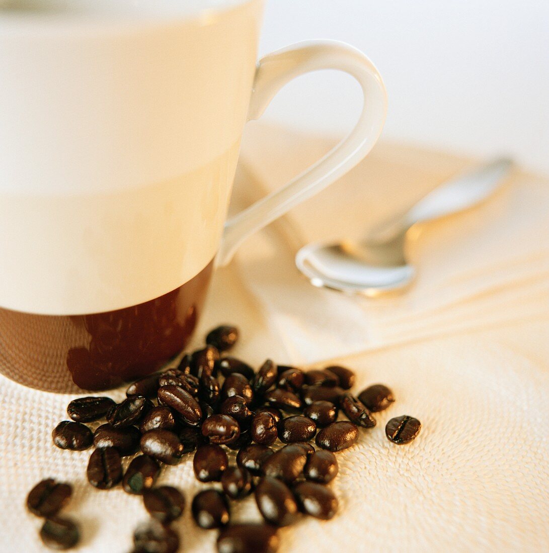 Kaffeebohnen und Kaffeetasse