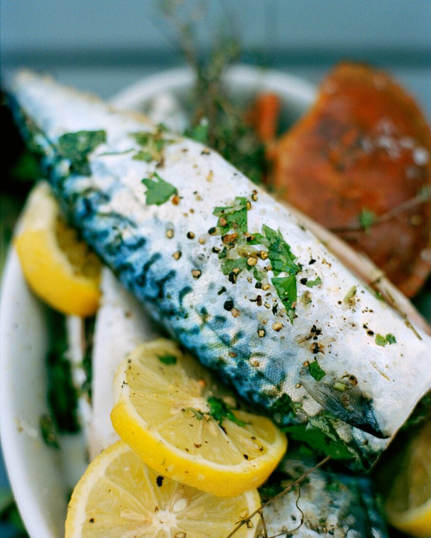 Grilled mackerel with lemons and herbs