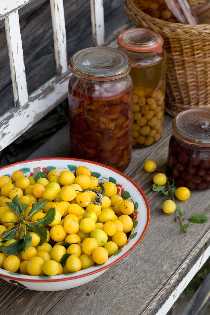 Bowl of fresh mirabelle plums on wooden bench