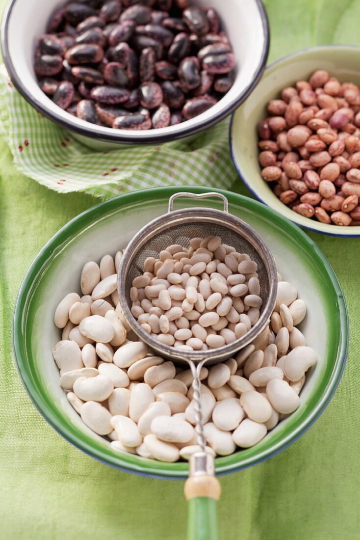 Various types of beans