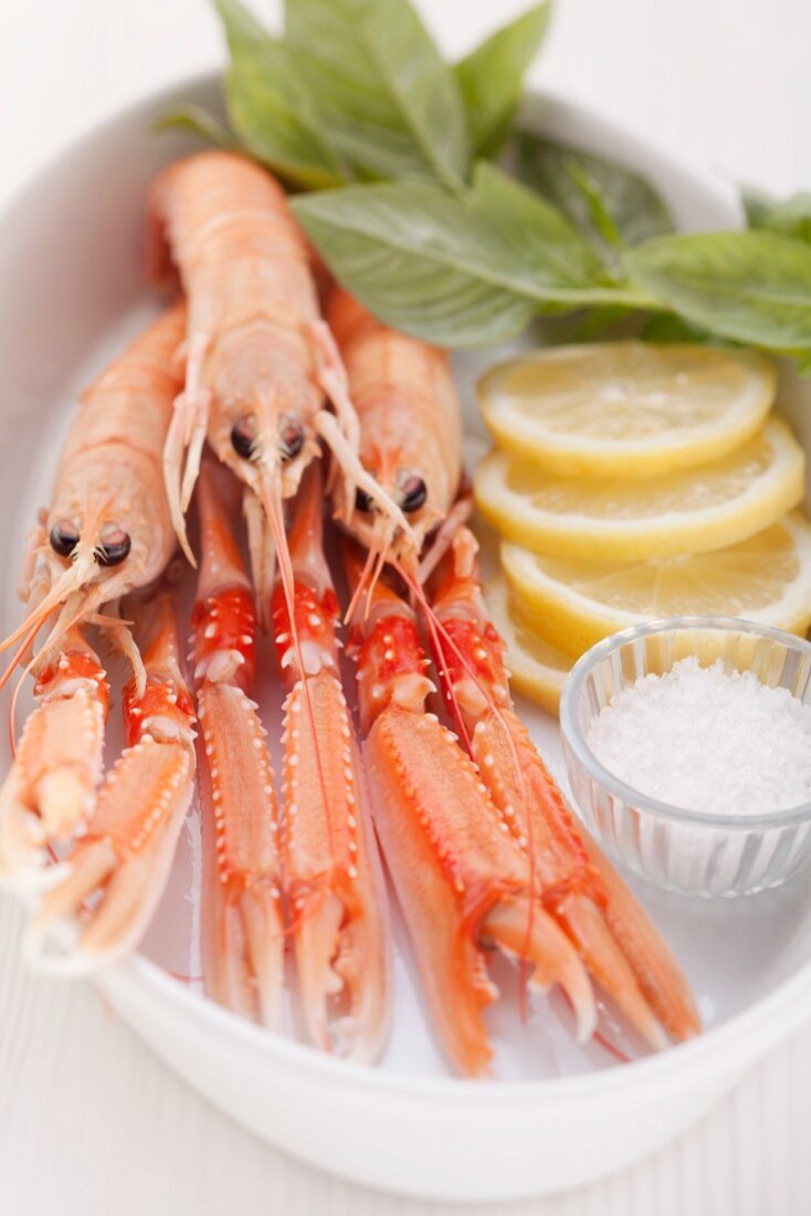 Scampi with salt and lemon