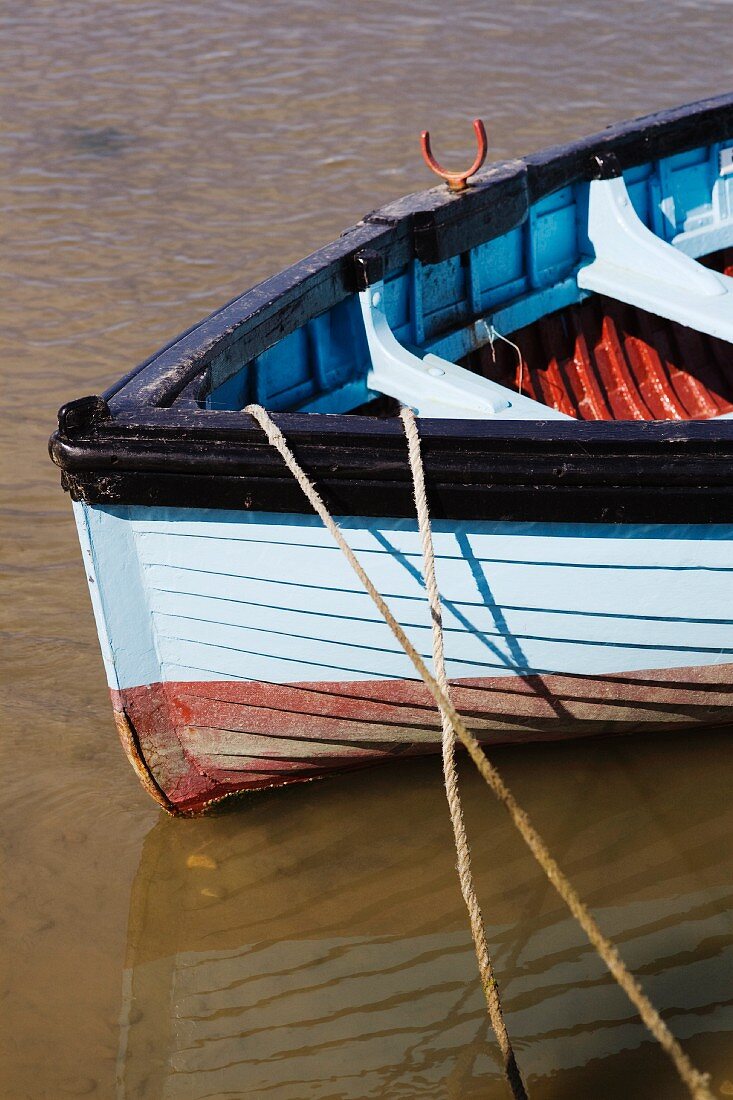 Fishing boat (detail)