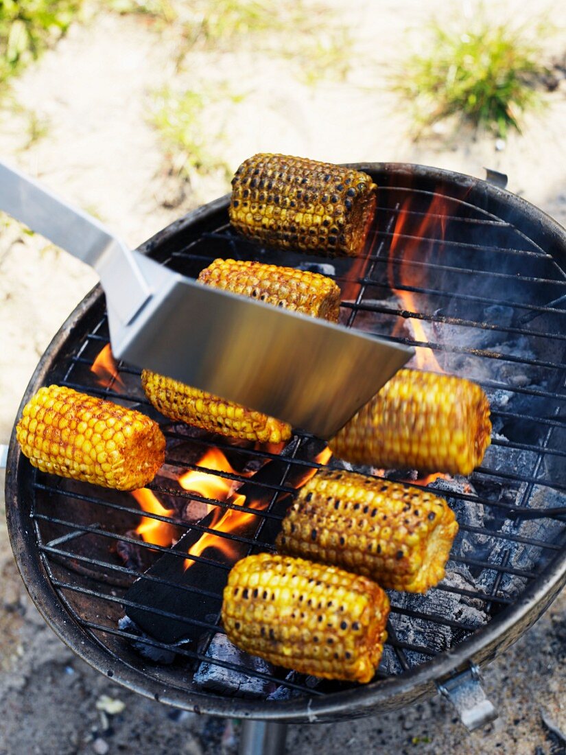 Corn cobs being grilled