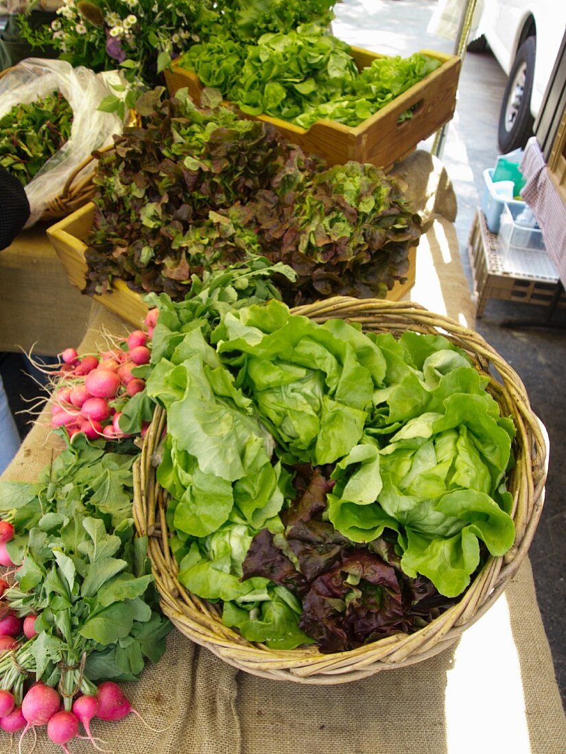 Verschiedene Salate am Markt (Union Square Greenmarket, New York City)