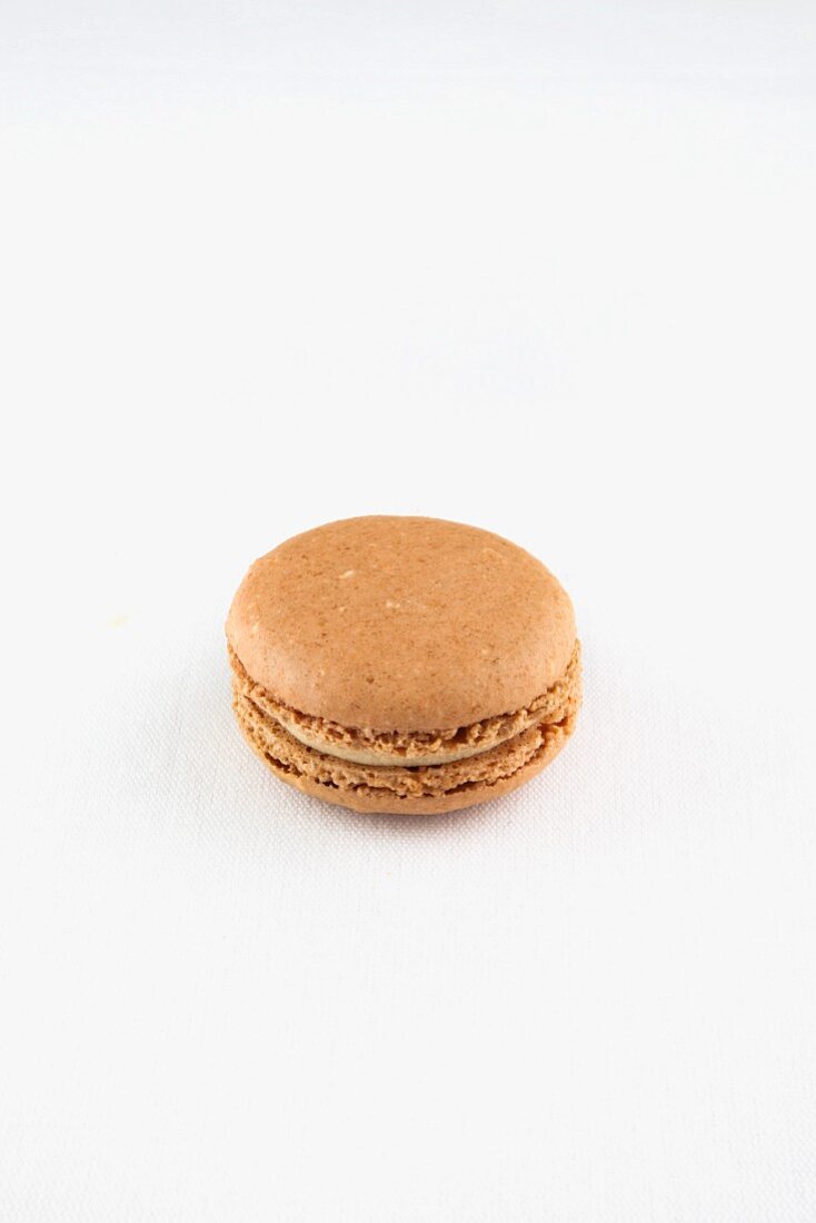 A Single Earl Grey Macaroon on a White Background