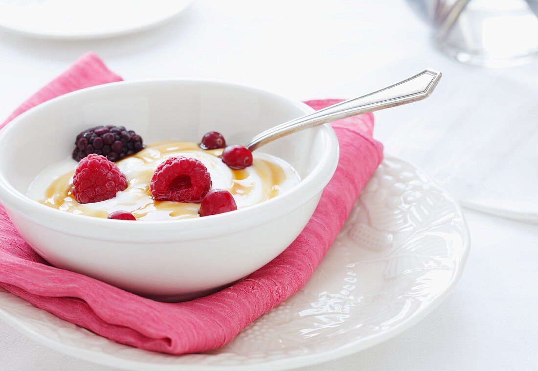 Bowl of Organic Yogurt with Cranberries, Raspberries, Blackberries and Agave Syrup