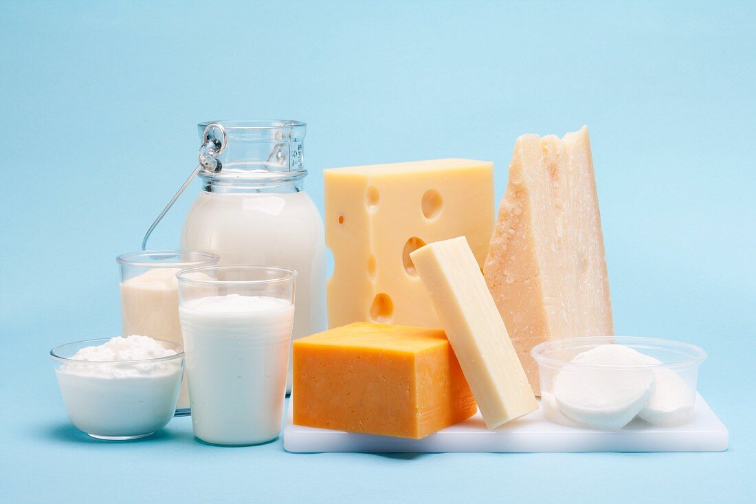 Verschiedene Milchprodukte (Käse, Joghurt, Quark, Milch) vor blauem Hintergrund