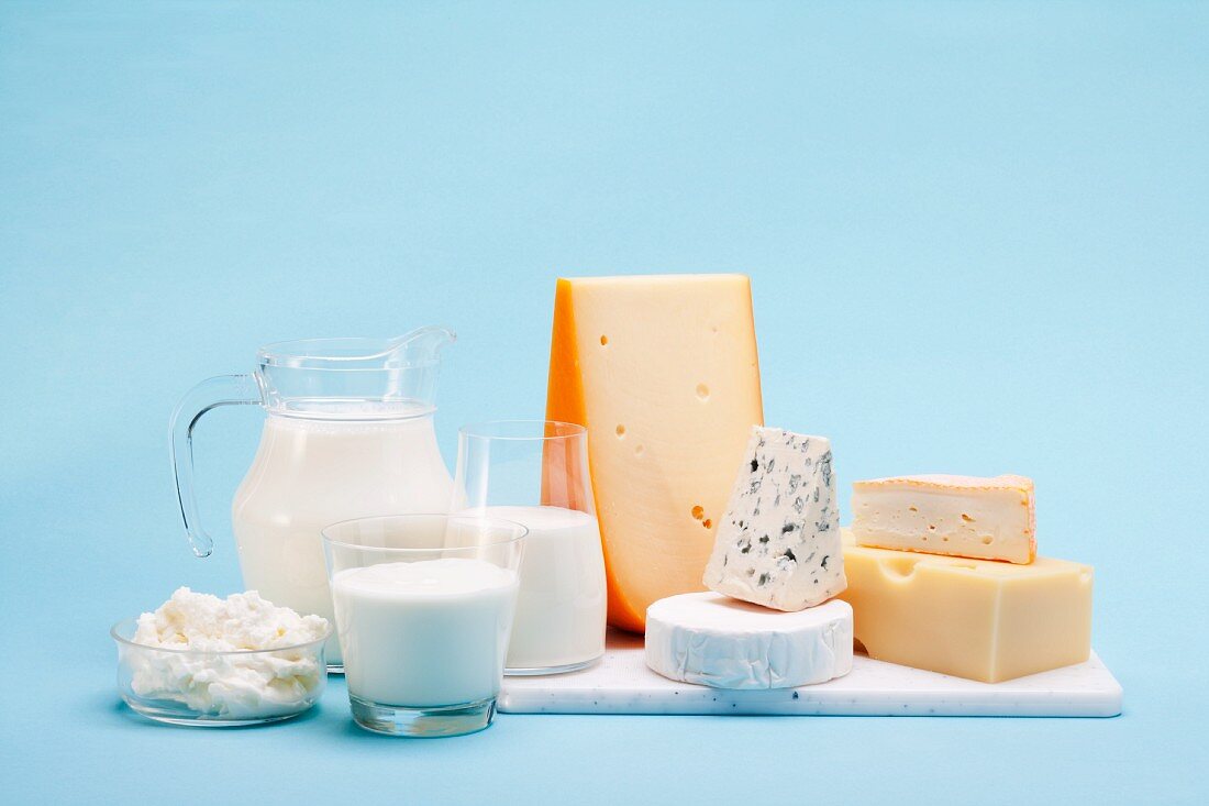Verschiedene Milchprodukte (Käse, Joghurt, Quark und Milch) vor blauem Hintergrund